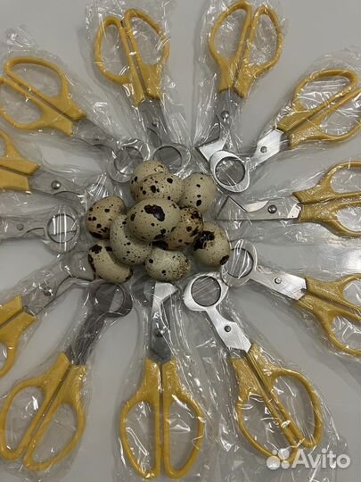 Ножницы для перепелиных яиц