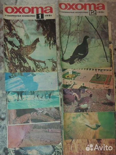 Журналы Охота и охотничье хозяйство 1981