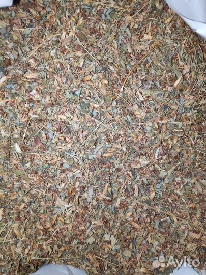 Зверобой, Мать-и-мачеха