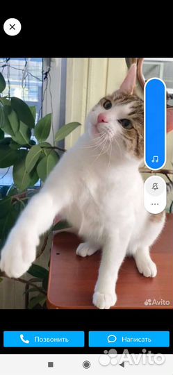 Семён Милый малыш Лучший маме