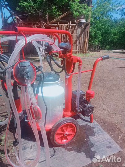 Доильный аппарат на двух коров