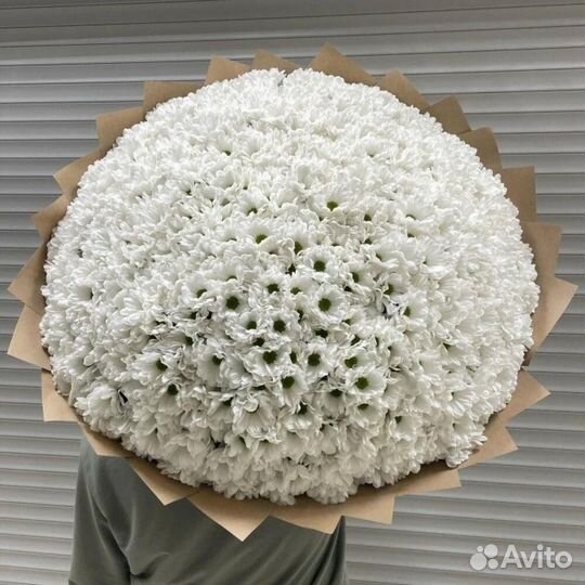 Хризантема кустовая / хризантемы кустовые букет