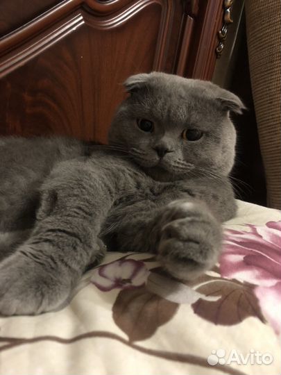 Вязка
