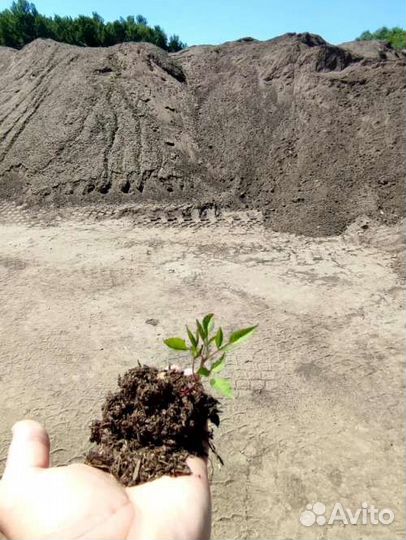 Коровий навоз удобрение (прелый) в мешках 25 литро