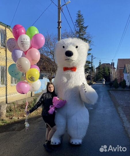 Белый мишка, чебурашка,панда,зайка поздравление