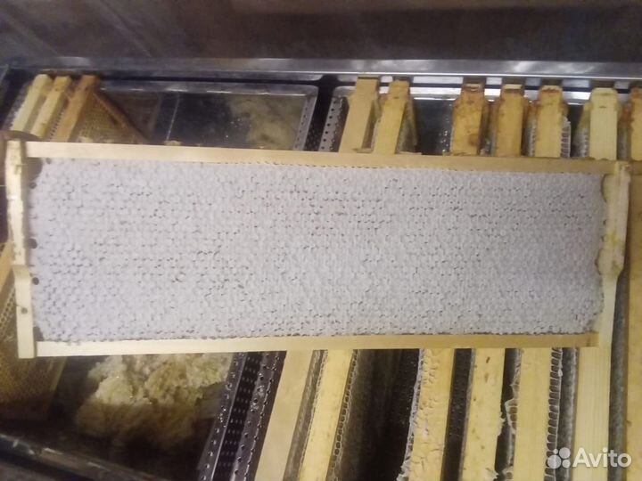 Сушь для пчёл