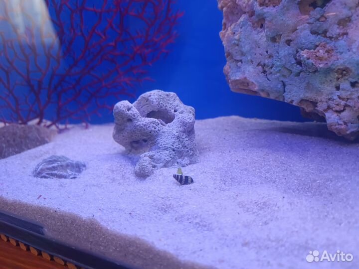Песок для аквариума