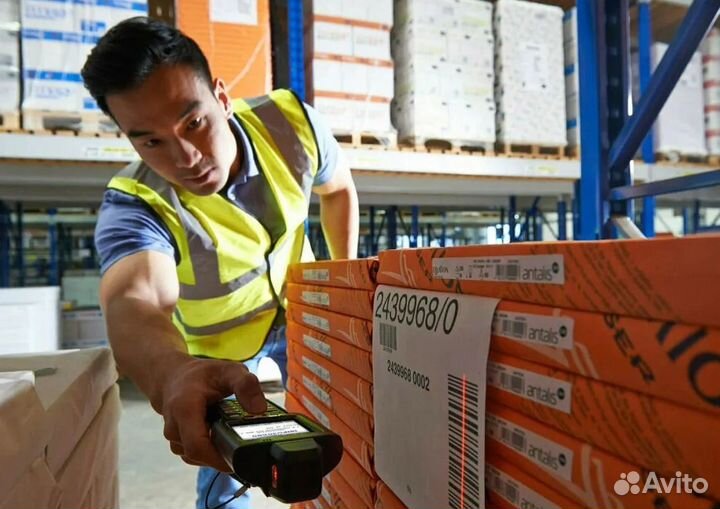 Разнорабочие