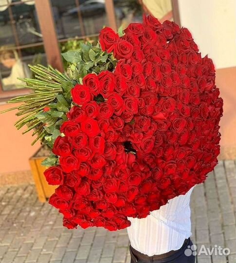 Высокие розы