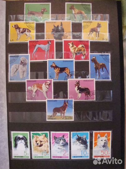 Коллекция марок с собаками