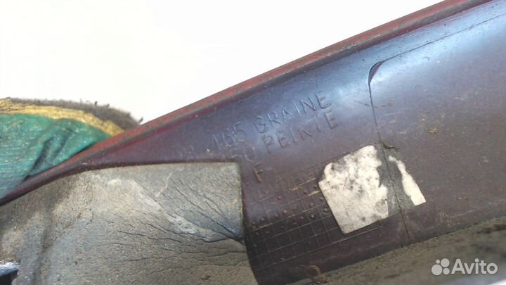 Подсветка номера Renault Scenic, 2001