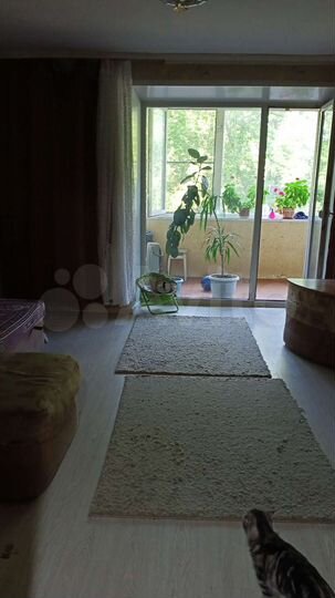 4-к. квартира, 75 м², 1/5 эт.