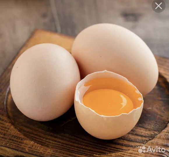 Домашние куриные яйца