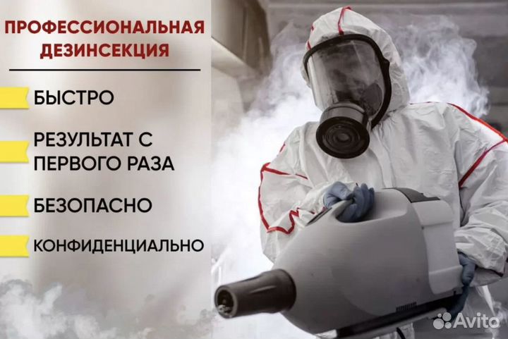 Уничтожение тараканов, клопов, клещей, плесени