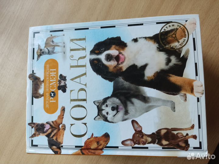 Детская энциклопедия росмэн