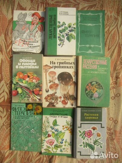 Г.Ф. Моисеева. С.Г. Макеенко. Наши зелёные целите