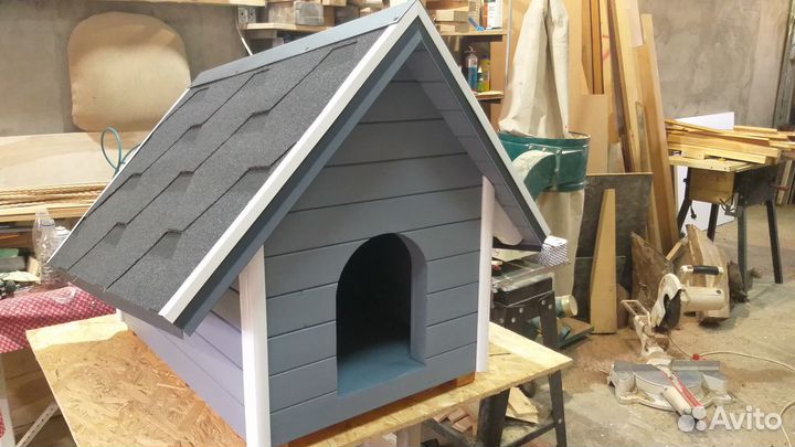 Собачья будка