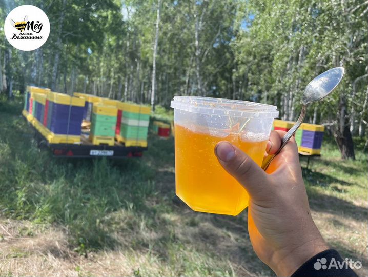 Мёд горный, липовый, гречишный. Урожай 2023