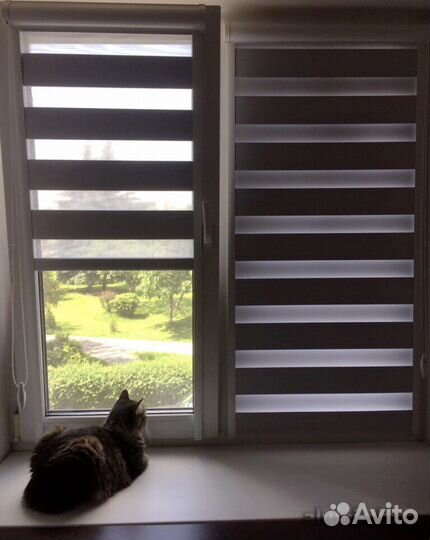 Жалюзи