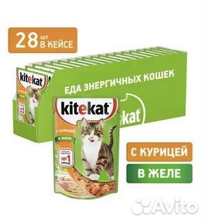 Влажный и сухой корм для кошек