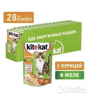 Влажный и сухой корм для кошек