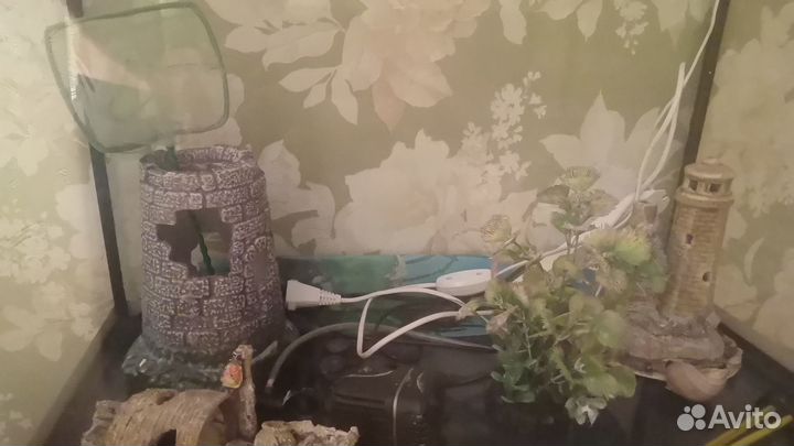 Продаю аквариум