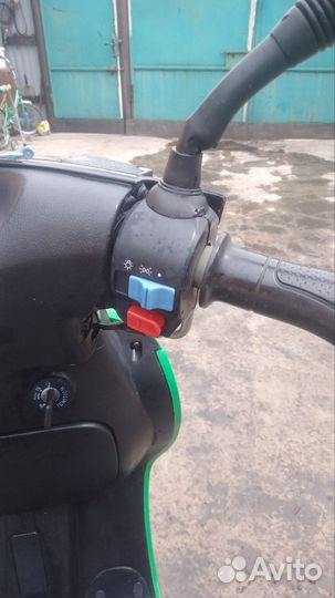 Racer sagita