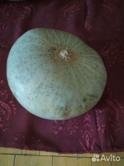 Семена тыквы