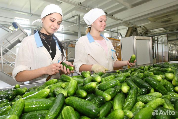 Оператор упаковочной линии, вахта, жилье