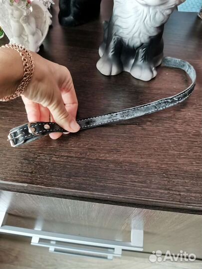 Ошейник для щенка, кошек