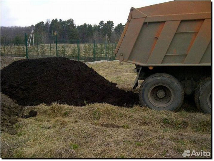 Чернозем земля грунт