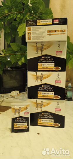 Влажный корм для кошек pro plan