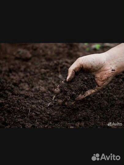 Чернозем в мешках конский перегной