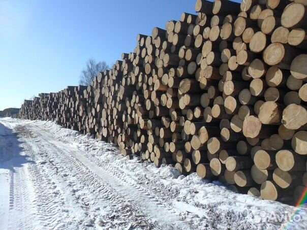 Оцилиндрованное бревно из северной сосны