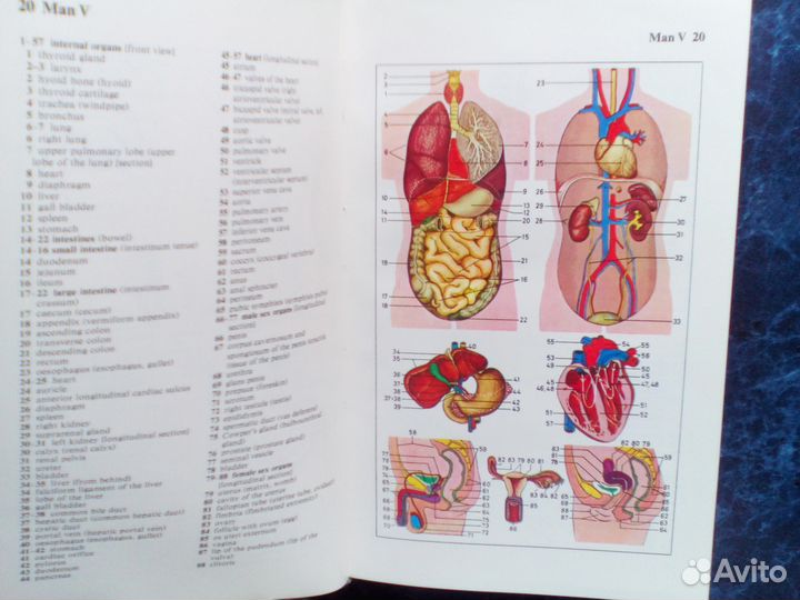 Словарь Оксворд-Дуден