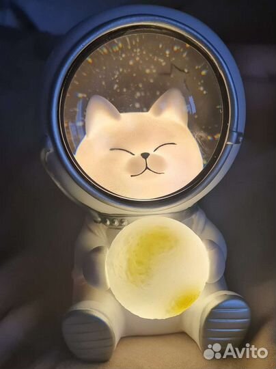 Новый Ночник 