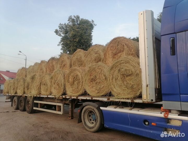 Продам сено в рулонах