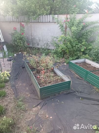 Грядка оцинкованная, длина 2 ширина 0,8