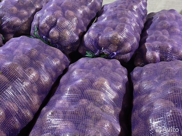 Продам картофель домашний