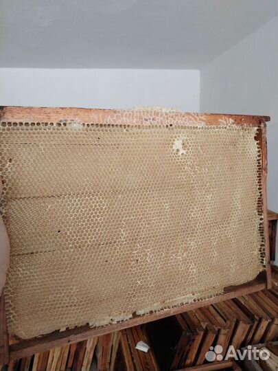 Рамки с сушью