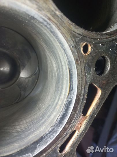 Шорт блок om611.987