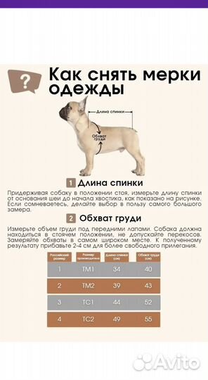 Комбинезон formydogs для таксы девочки тм2