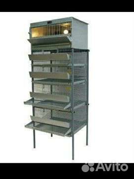 Перепелиная клетка 3 в 1/ мини ферма для перепелов