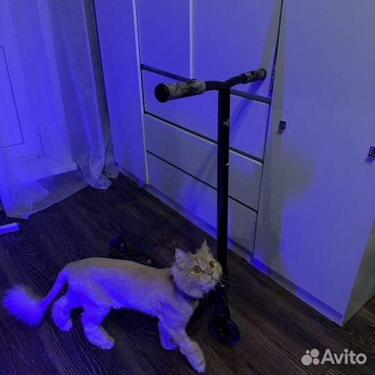 Трюковой самокат tech team