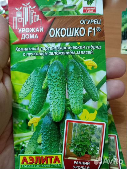 Семена огурцов