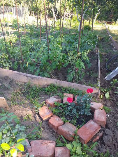 Дача 18 м² на участке 6 сот.