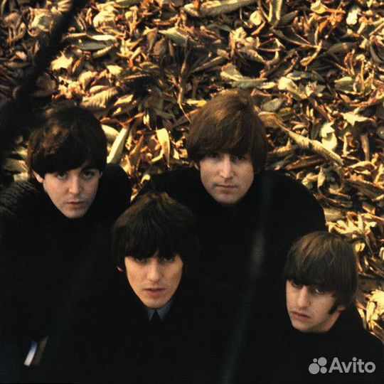 Виниловая пластинка Beatles, The, Beatles For Sale