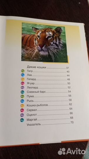Книги серии 