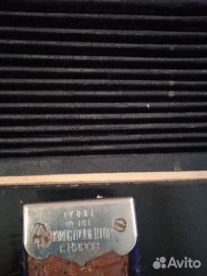 Баян Кировской