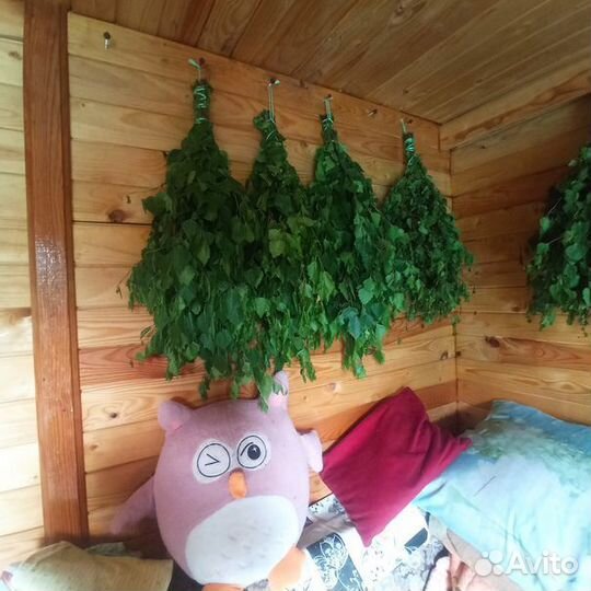 Березовые веники